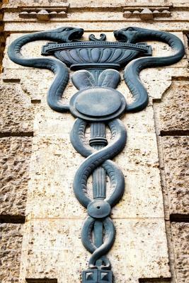 Read Aesculapian Staff - Caduceus on Old Building Journal: 150 Page Lined Notebook/Diary -  file in ePub