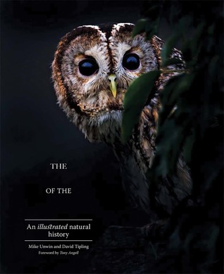 Download The Enigma of the Owl: An Illustrated Natural History - Mike Unwin | PDF