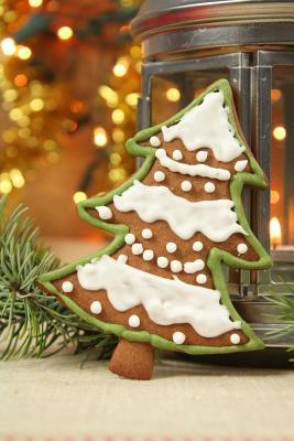 Read Online Decorated Christmas Tree Cookie Journal: 150 Page Lined Notebook/Diary -  | ePub