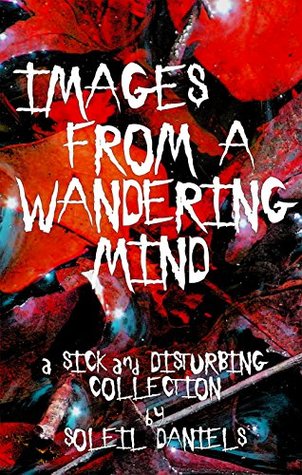 Read Online Images From a Wandering Mind: A Sick and Disturbing Collection - Soleil Daniels file in ePub