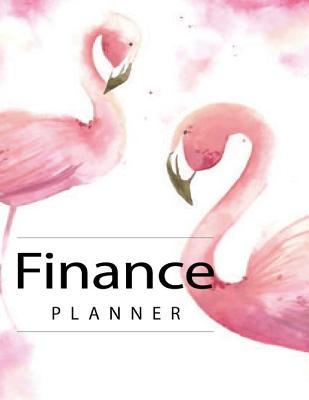Download Finance Planner: Budgeting Book, Expense Tracker, Budget Edition, Budgeting Planner, Journal Notebook Finance Planner, Money Organizer Worksheet Diary -  | PDF