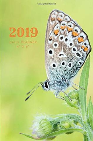 Full Download 2019 Daily Planner 4 x 6: Small Mini Calendar To Fit Purse & Pocket; Monthly & Weekly Goals Journal With Quotes & Address Book; Butterfly Diary With US & UK Holidays; Dates From Jan - Dec 2019 -  file in ePub