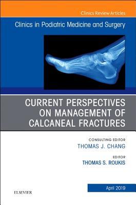 Download Current Perspectives on Management of Calcaneal Fractures, an Issue of Clinics in Podiatric Medicine and Surgery - Thomas S Roukis file in PDF