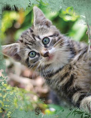 Full Download Cute Tabby Cat Composition Notebook, College Ruled: Lined Student Exercise Book - Enchanted Willow | ePub