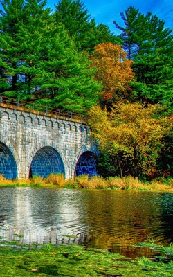 Download Notebook: Fall Bridge Water Autumn Blue Sky Nature - Wild Pages Press file in ePub